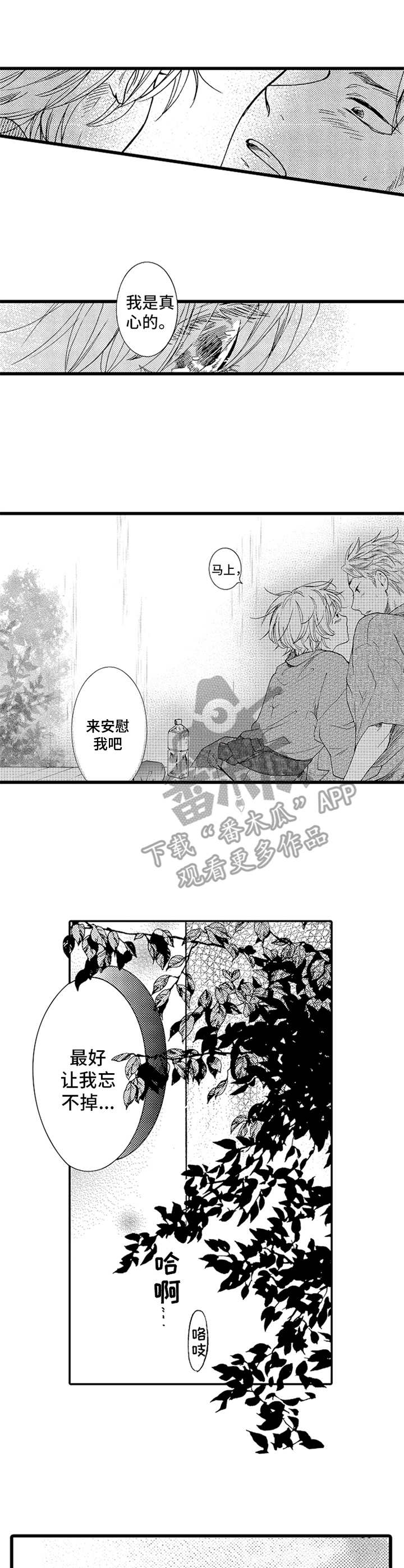 第12章：烟火0