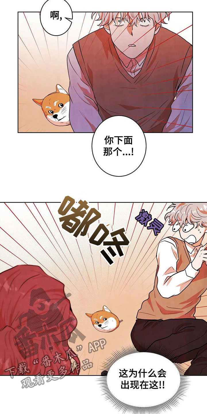 第43章：门6
