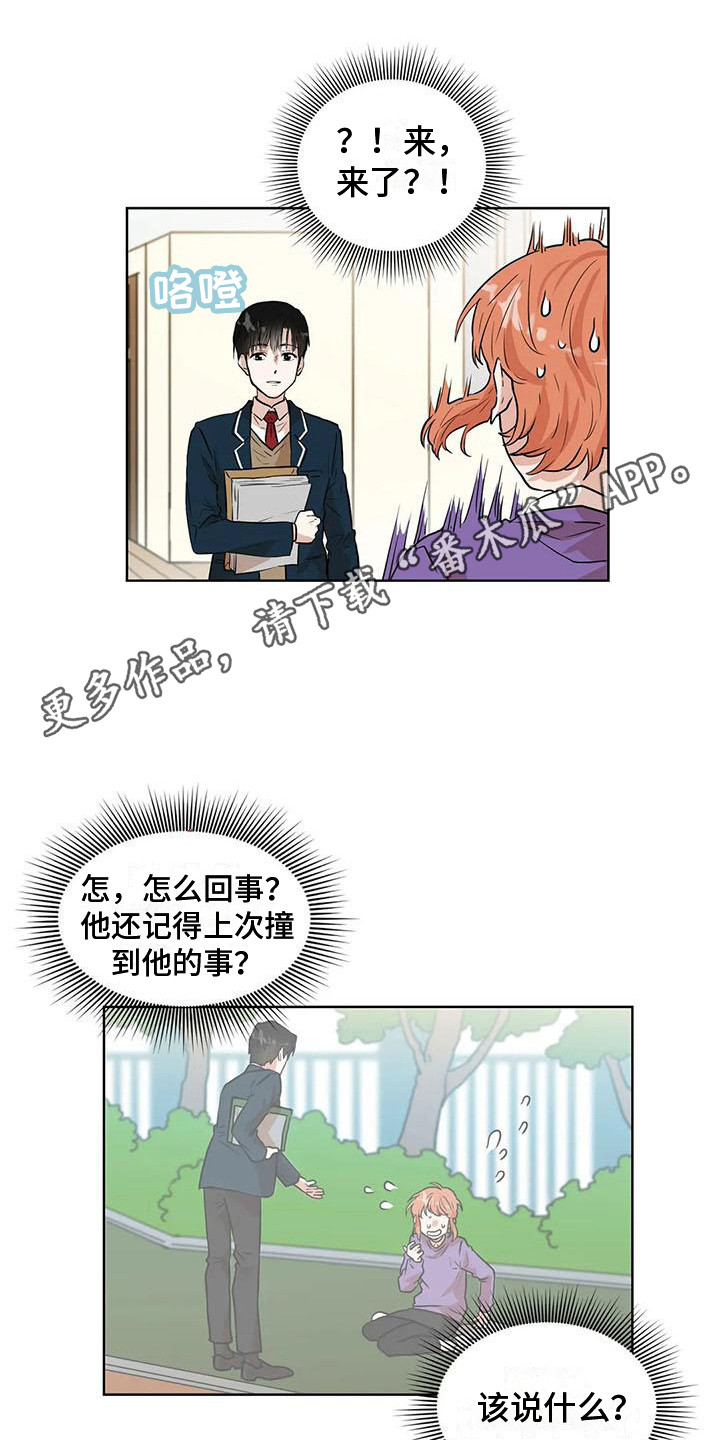 第29章：条件11