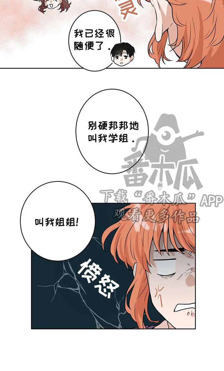 第29章：条件16