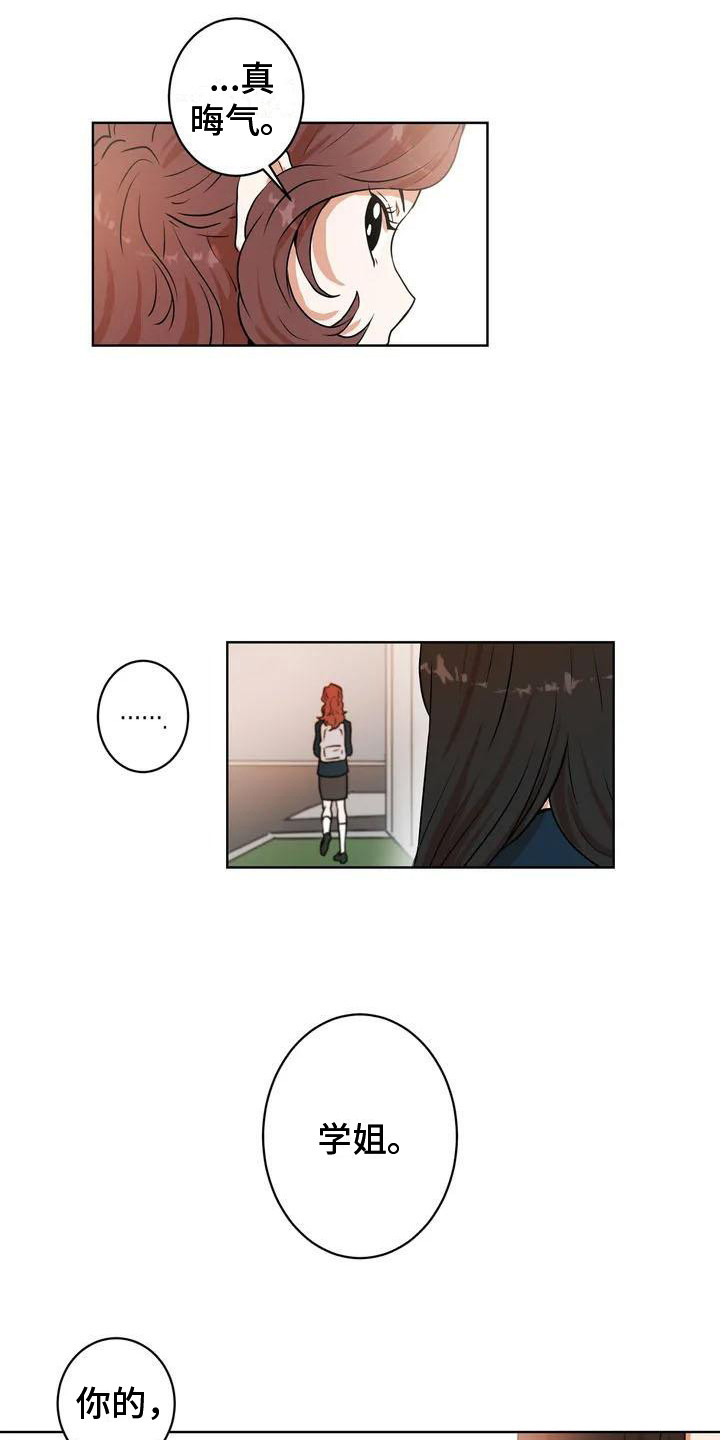 第6章：学姐11