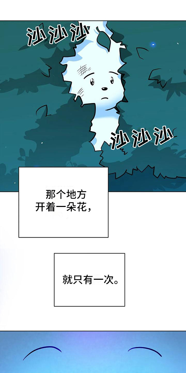 第19章：许愿6