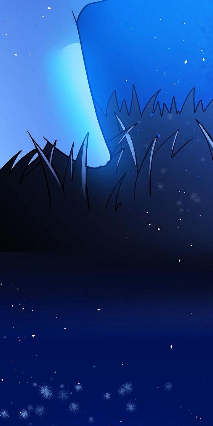 第19章：许愿17