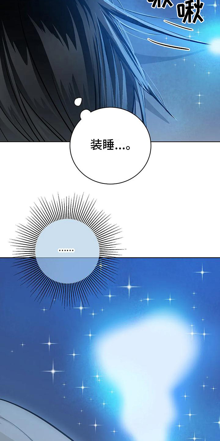 第17章：郑重宣告15