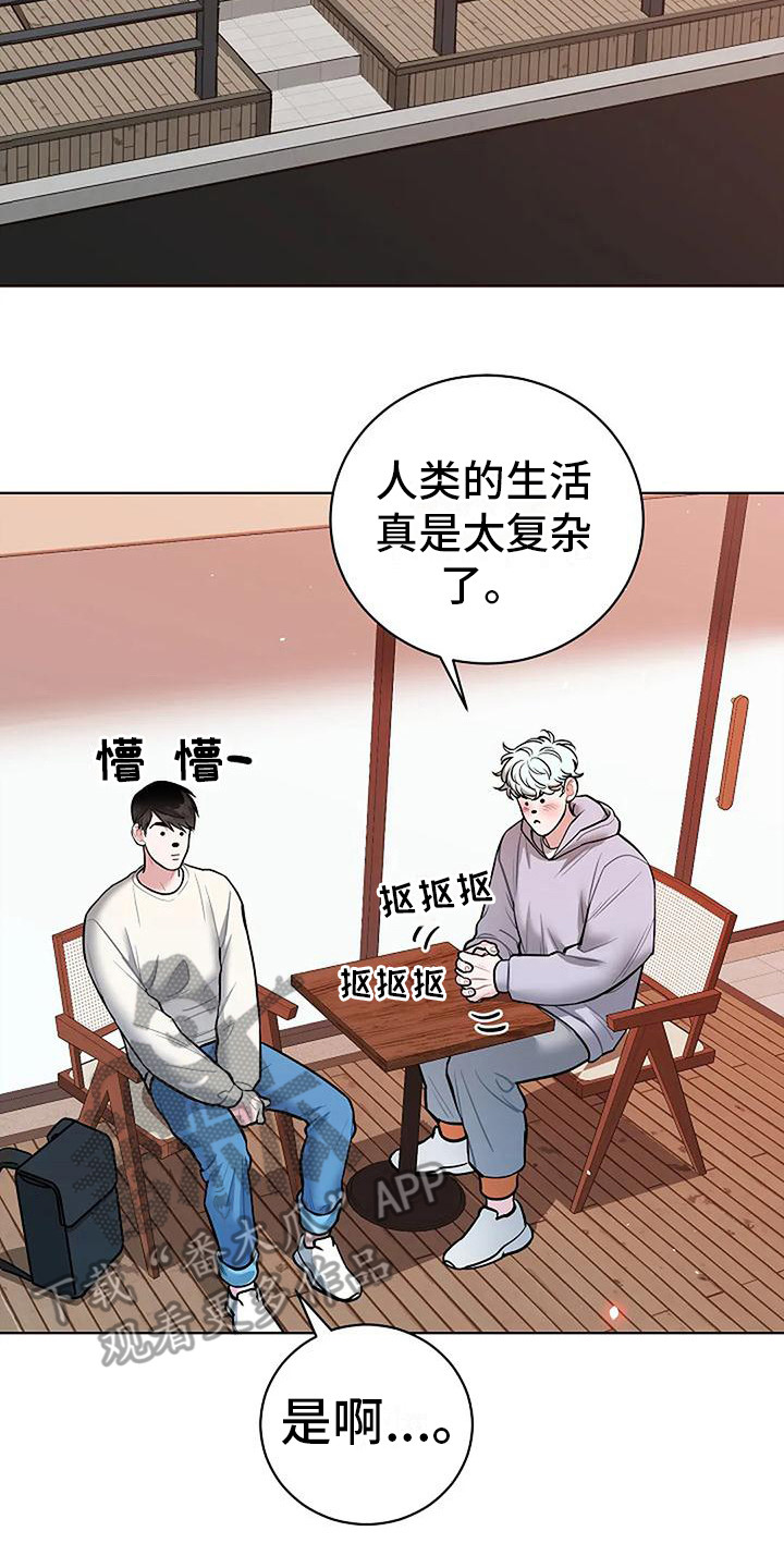 第21章：再次见面16