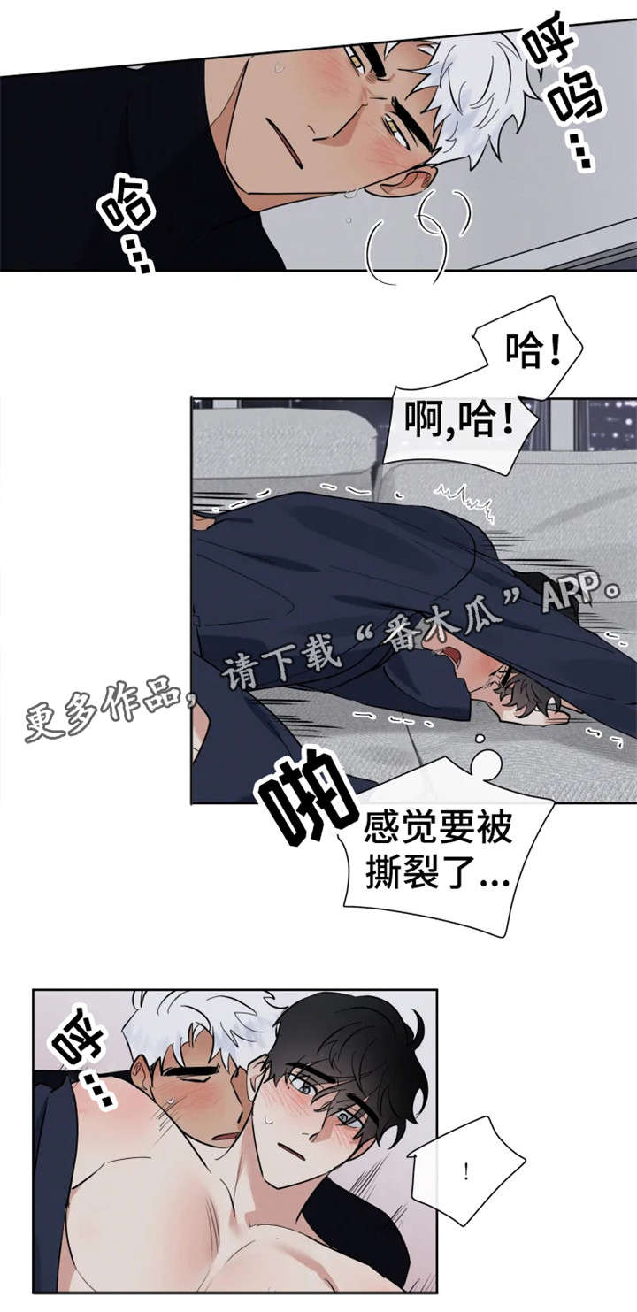 第19章：高烧1