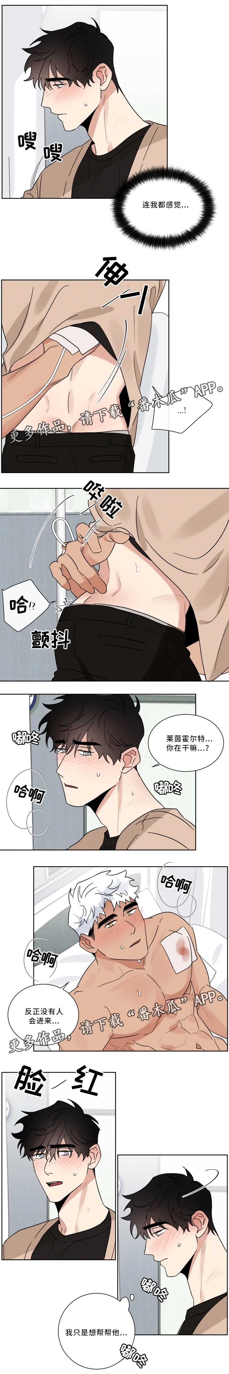 第31章：我爱你2