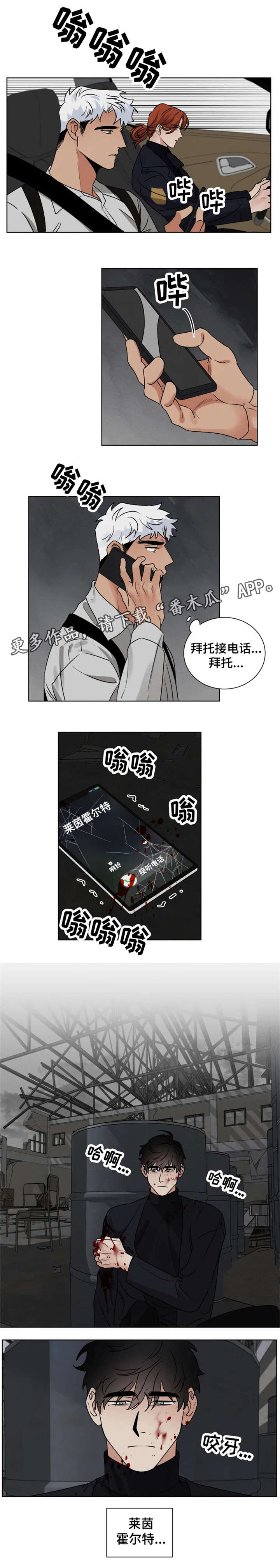 第26章：圈套11