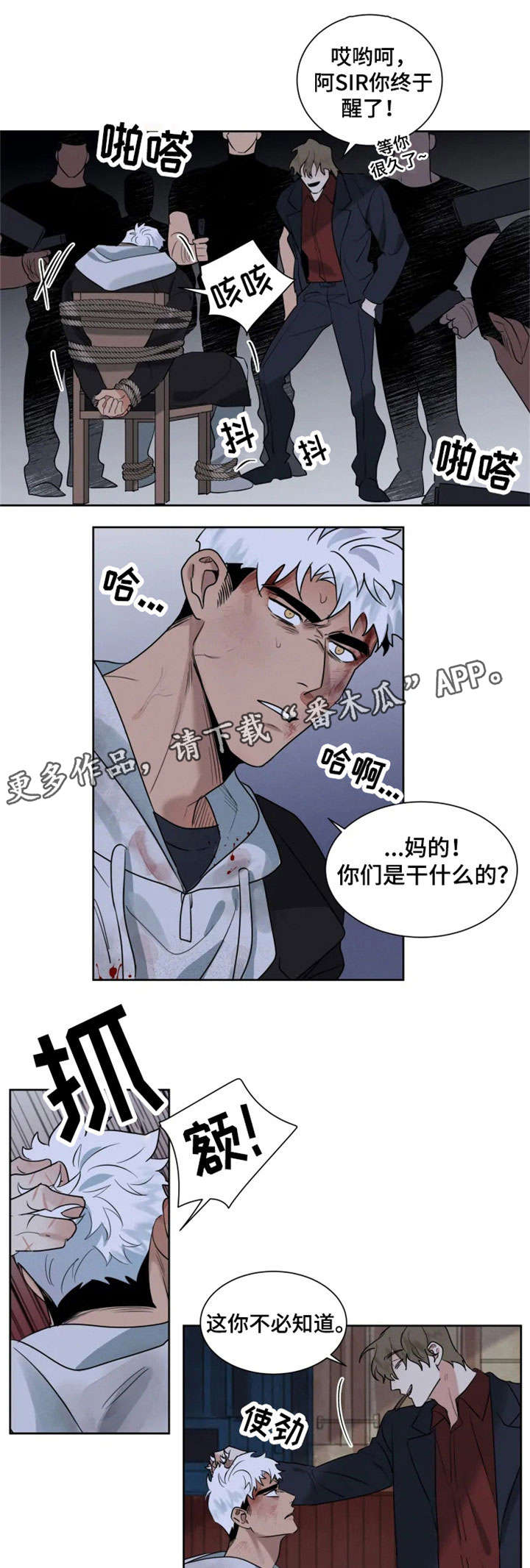 第20章：绑架5