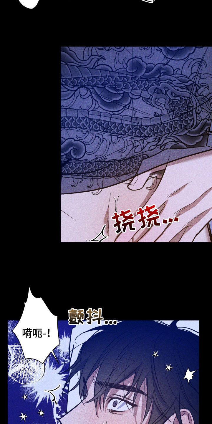 第17章：重要11
