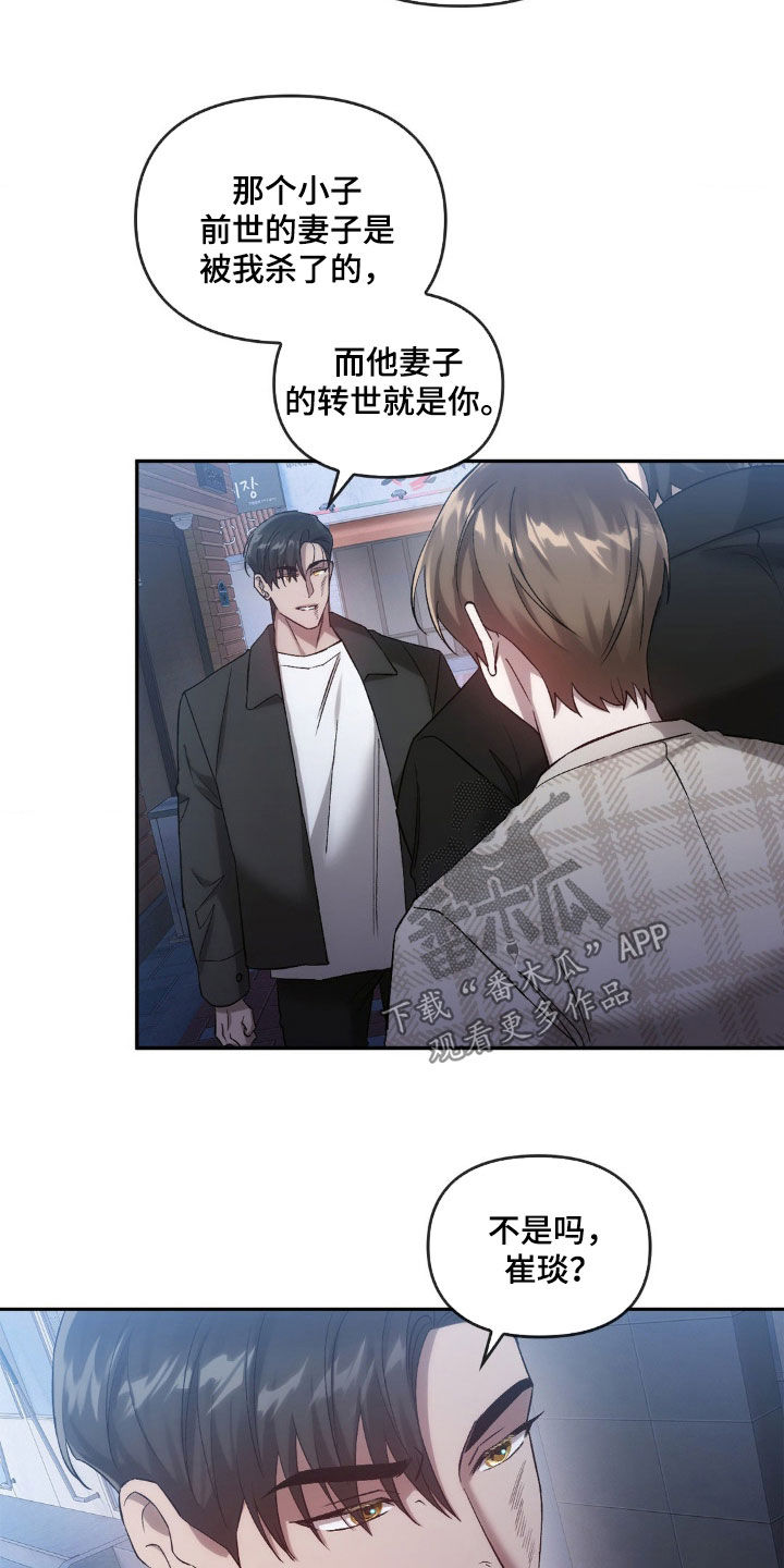 第35章：替代品17