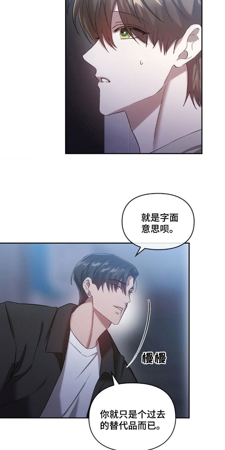 第35章：替代品16