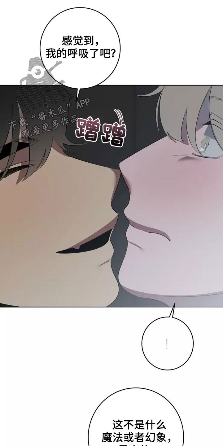 第64章：都是真的22