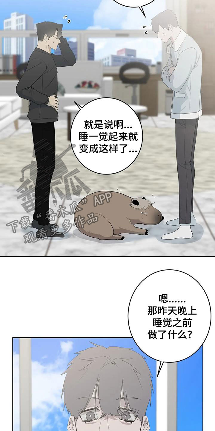 第95章：【第二季】是梦11