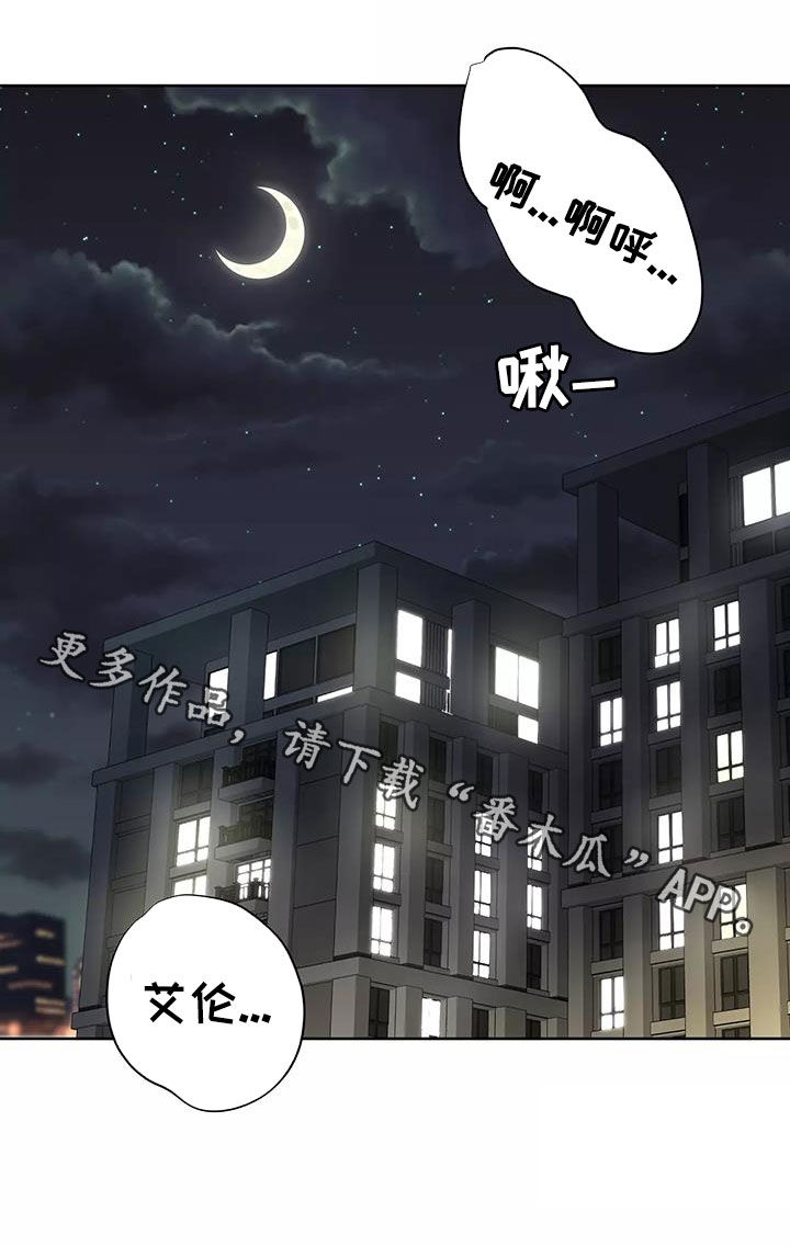 第81章：改正33