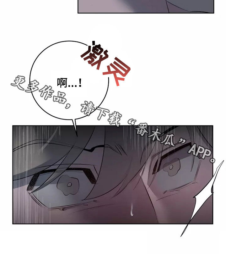 第55章：笨蛋23