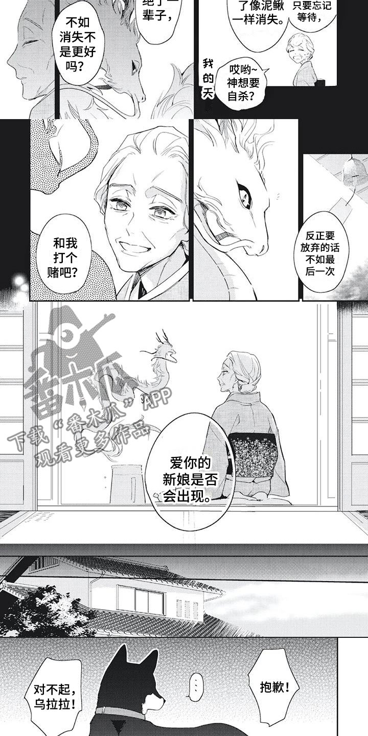 第52章：打赌1