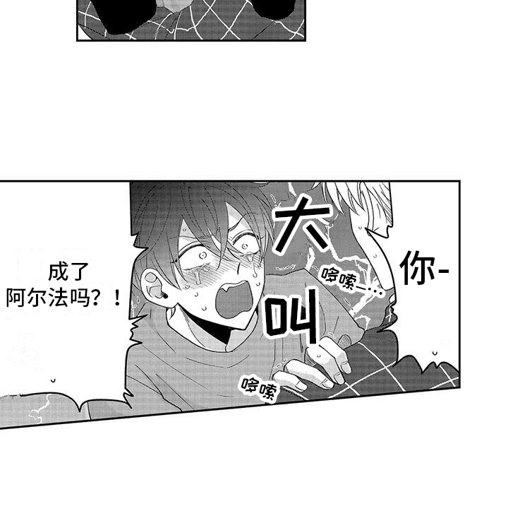 第15章：诊断结果 12