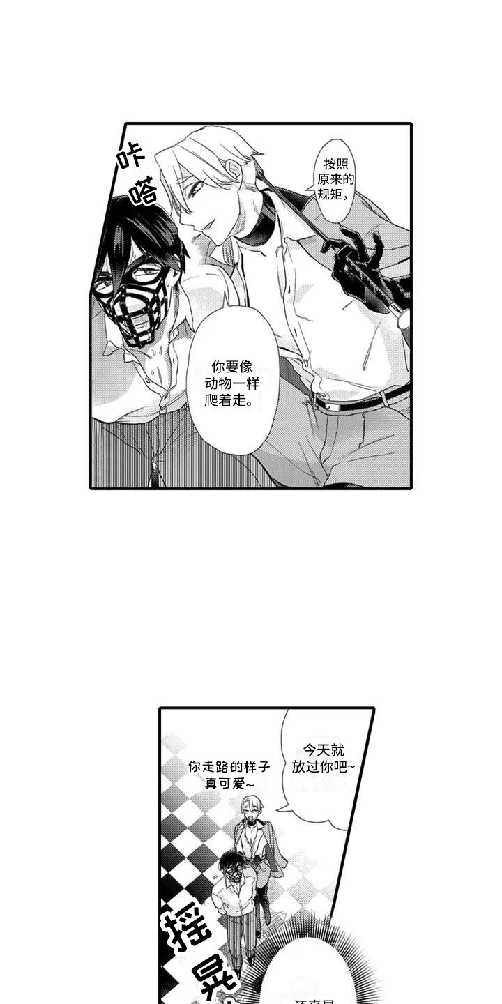 第3章：带回房间7