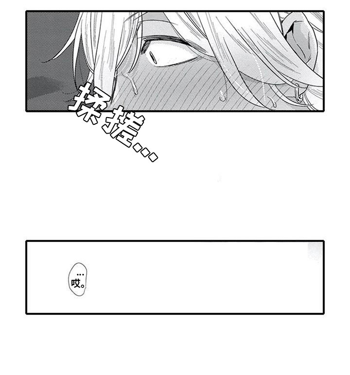 第21章：体验14