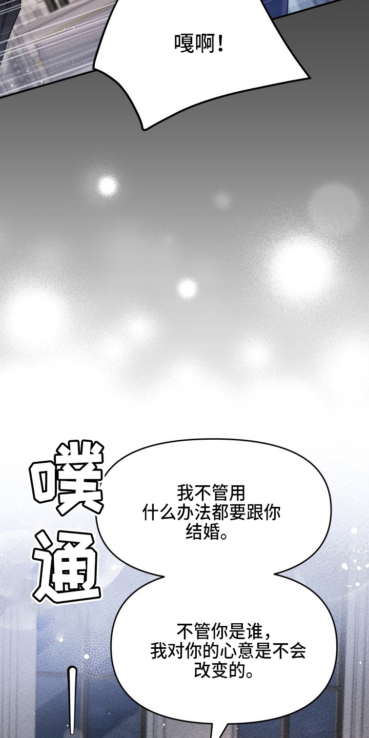第91章：摊牌2
