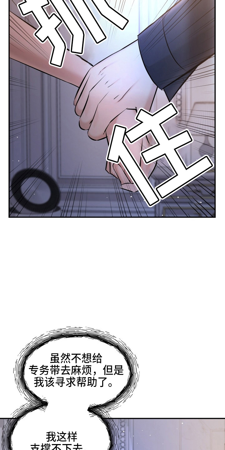 第91章：摊牌19