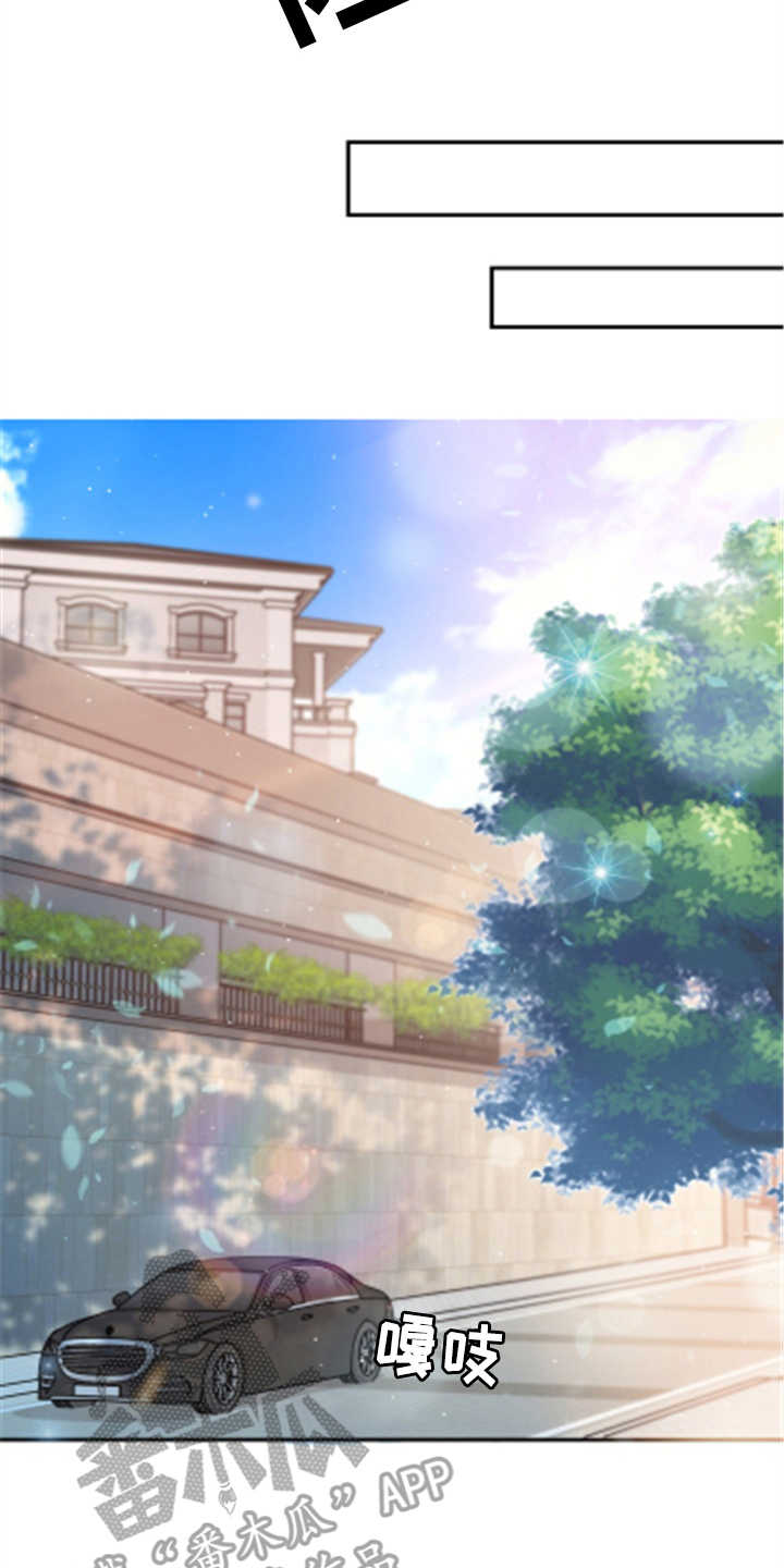 第24章：玫瑰18