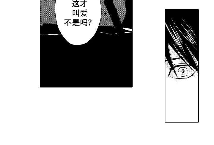 第17章：理念15