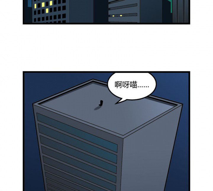 第33章：11