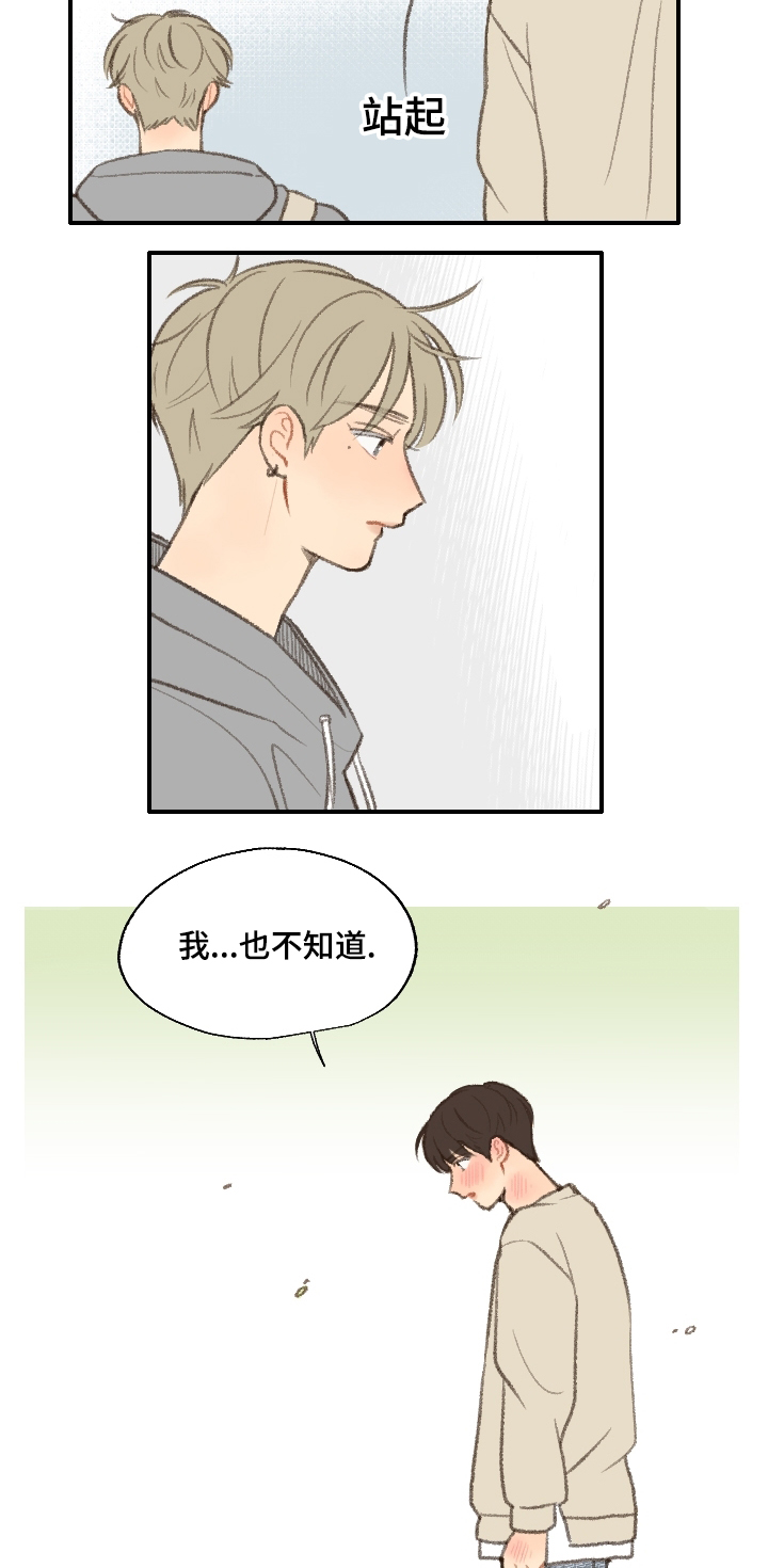 第19章：告白12