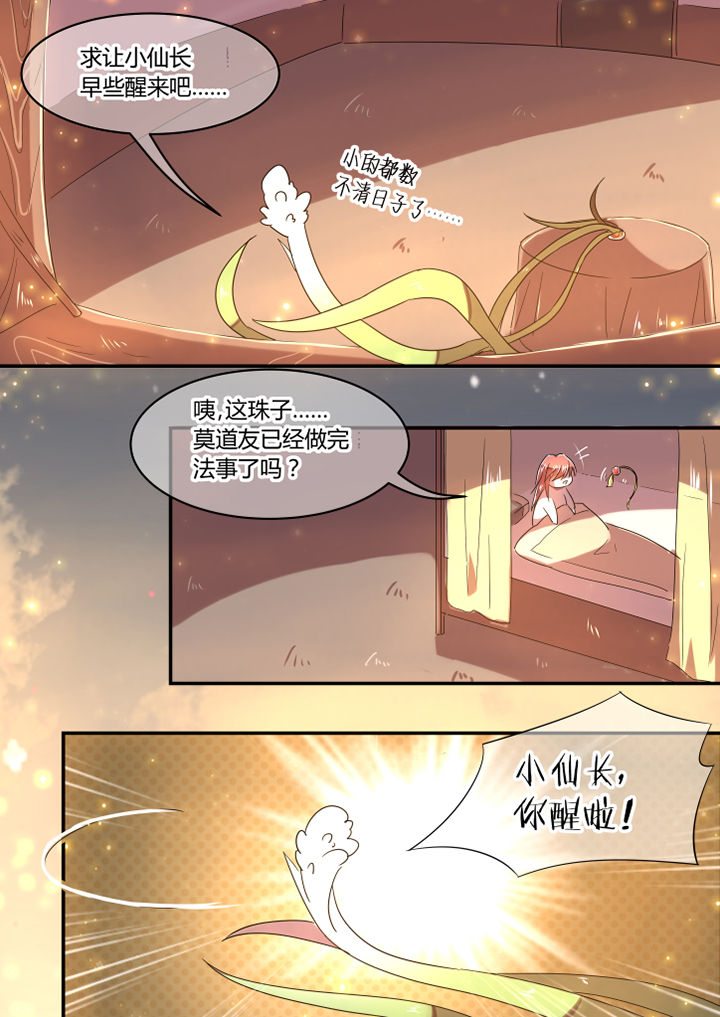 第41章：7