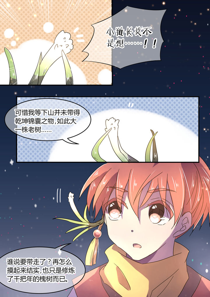 第17章：2