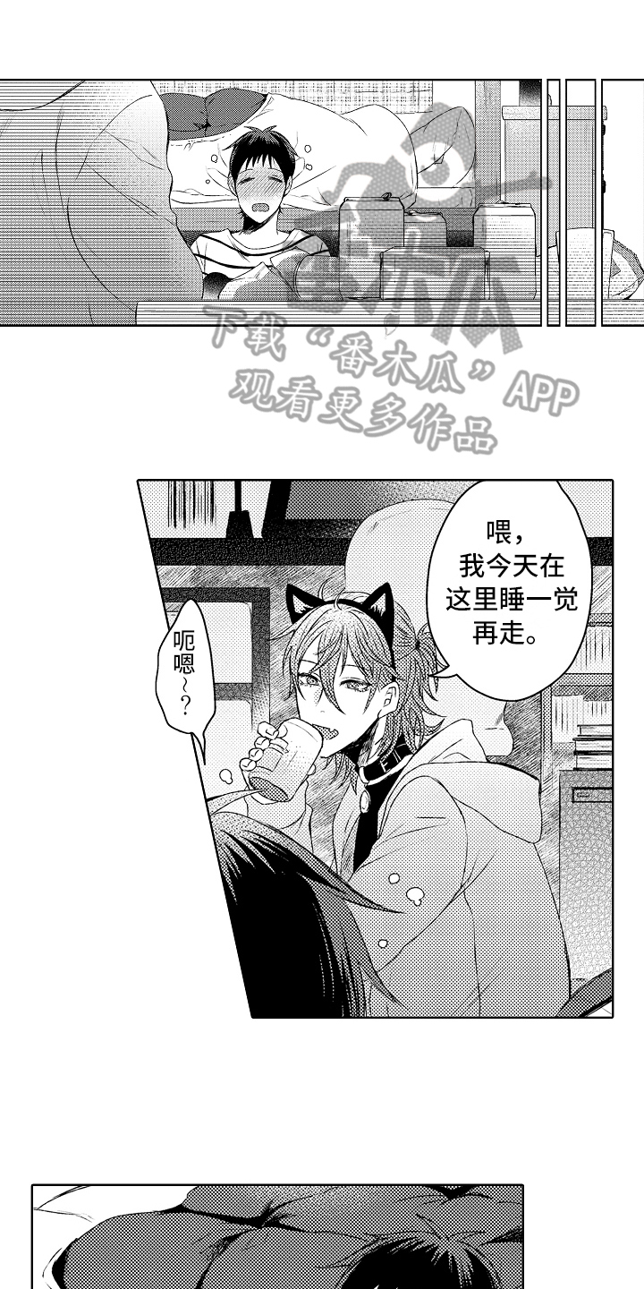 第5章：喜欢的事情0