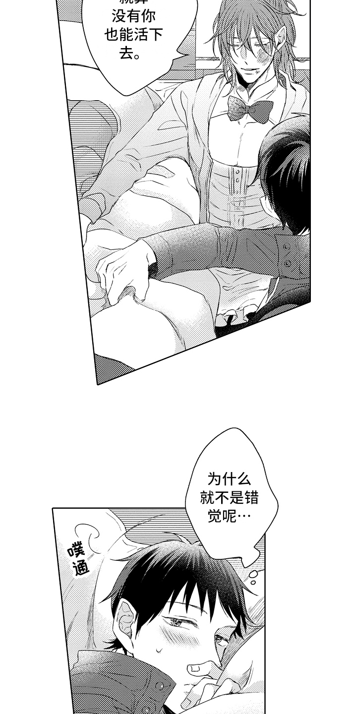 第15章：流浪猫14