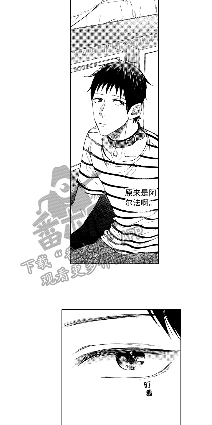 第6章：阿尔法7