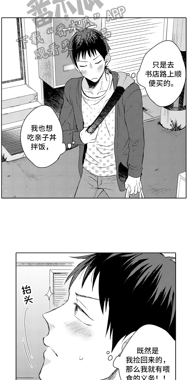 第9章：菜谱12