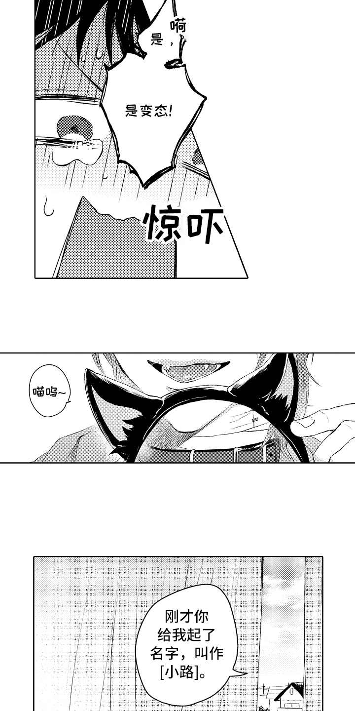 第1章：捡回6