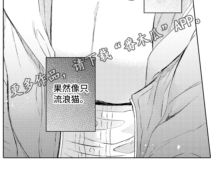 第15章：流浪猫16