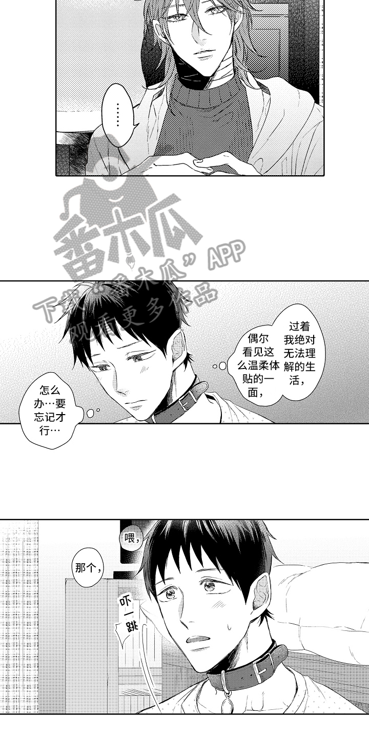 第11章：下厨9