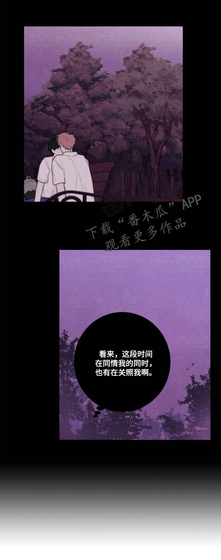 第52章：特别关照11
