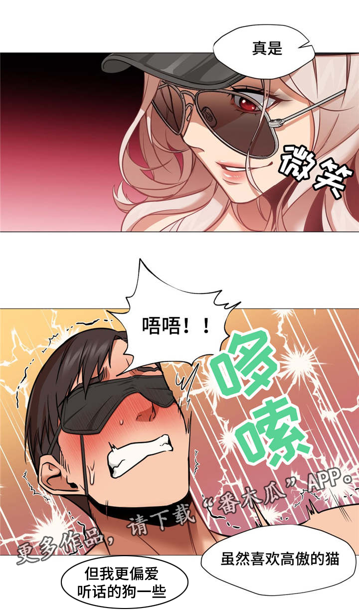 第11章：被绑架了6