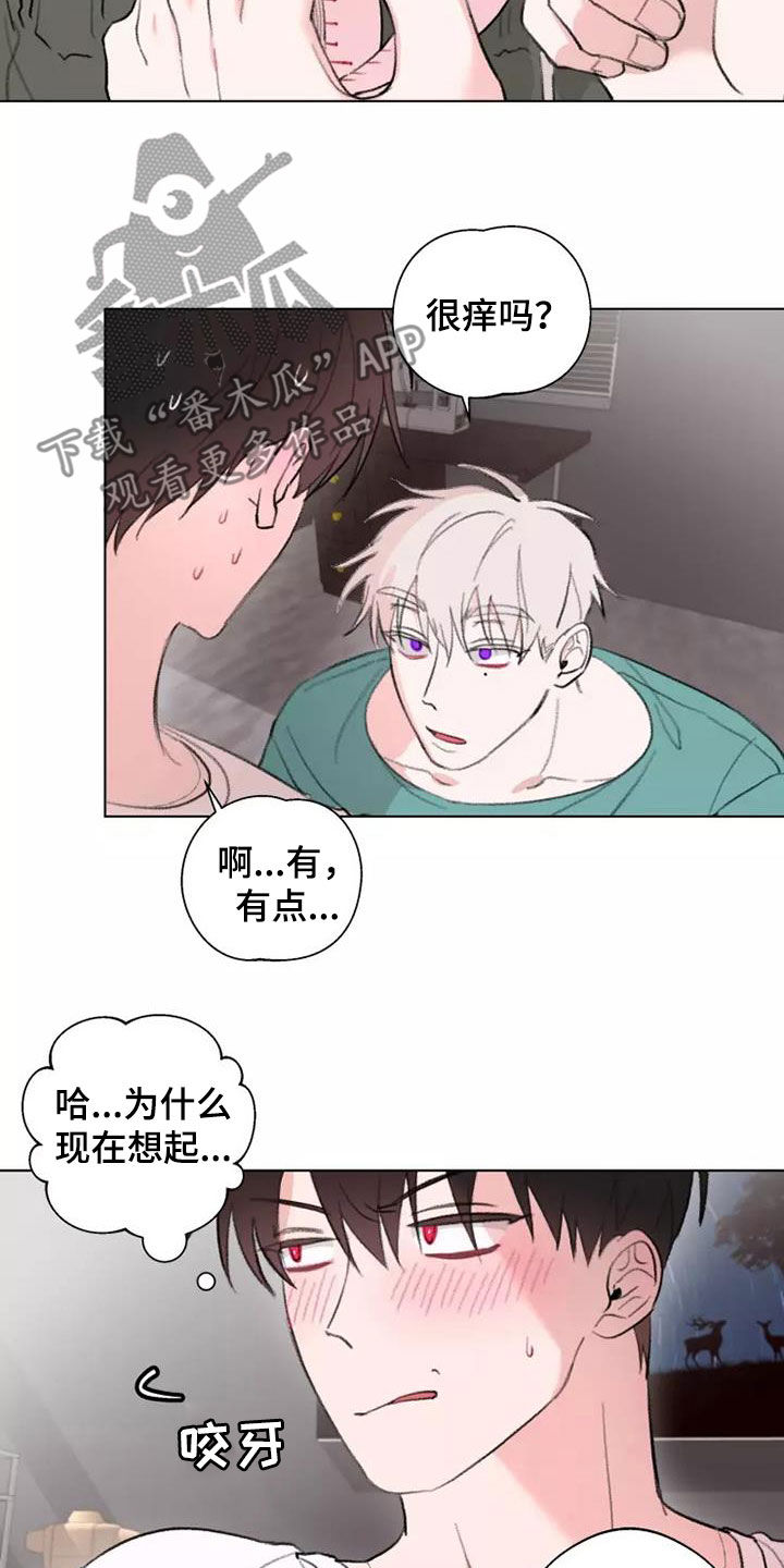 第12章：够了5