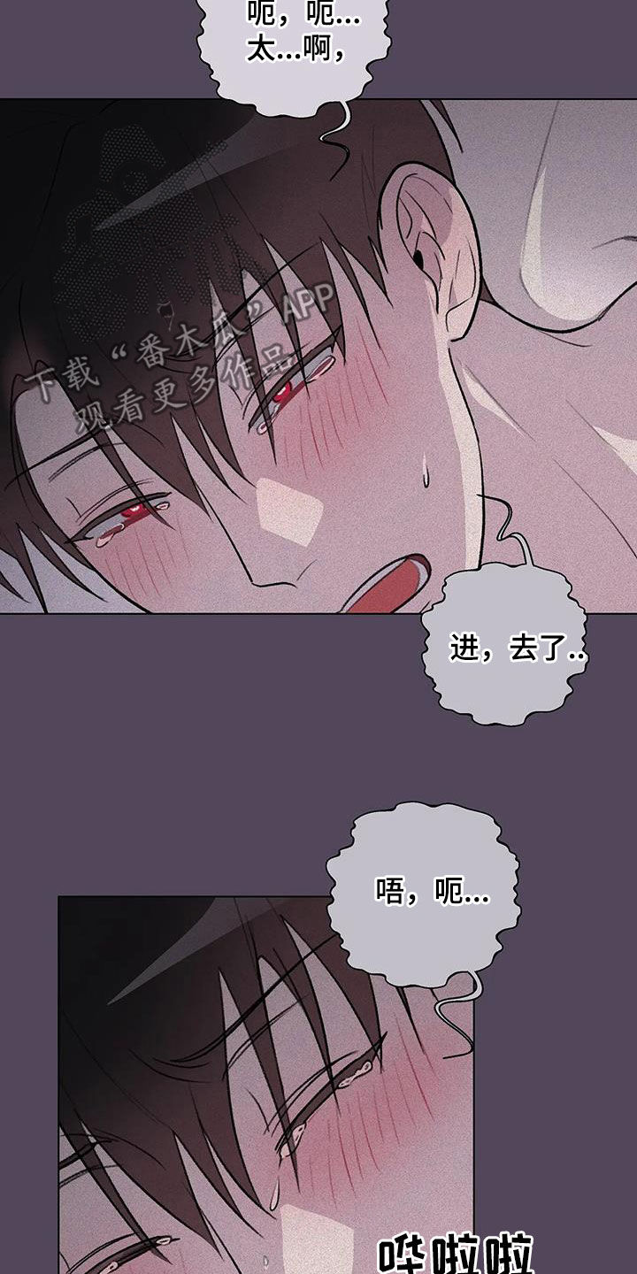第36章：笨蛋1