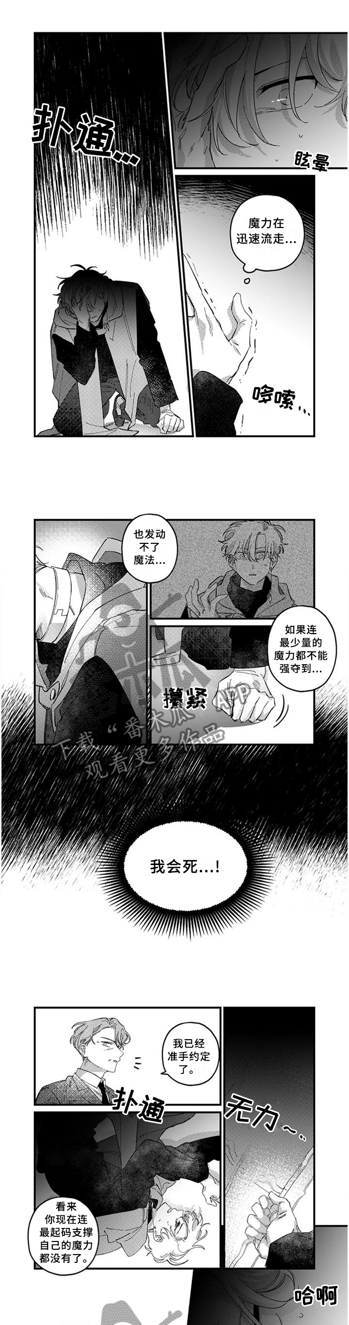 第19章：激战之后0