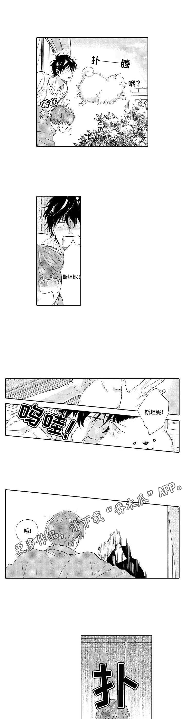 第16章：惊吓7