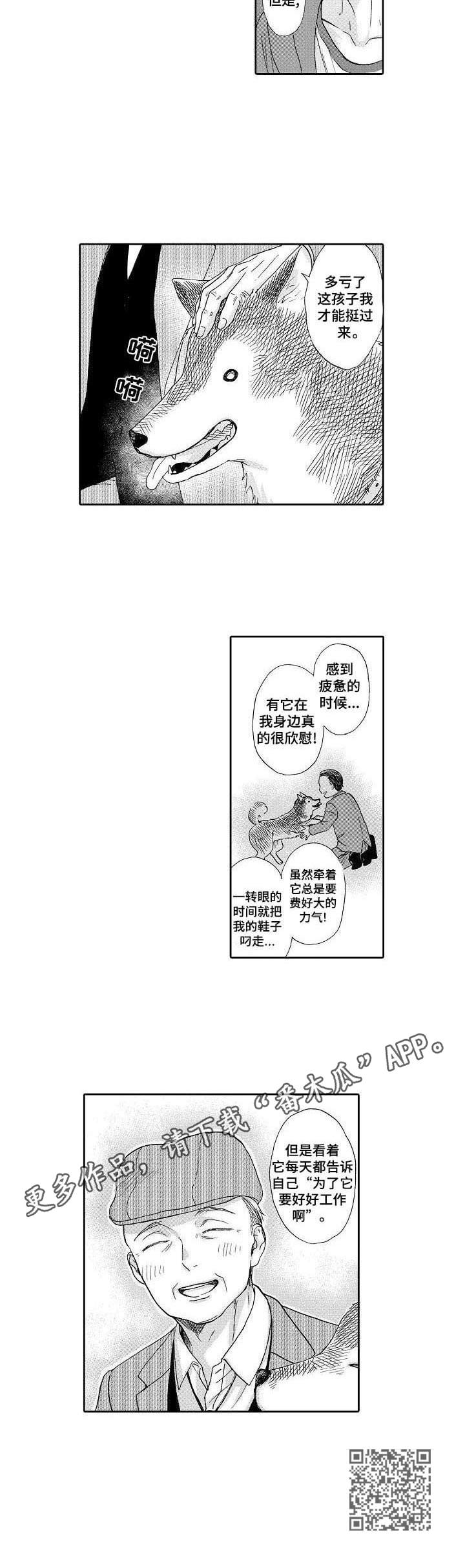 第12章：散步6