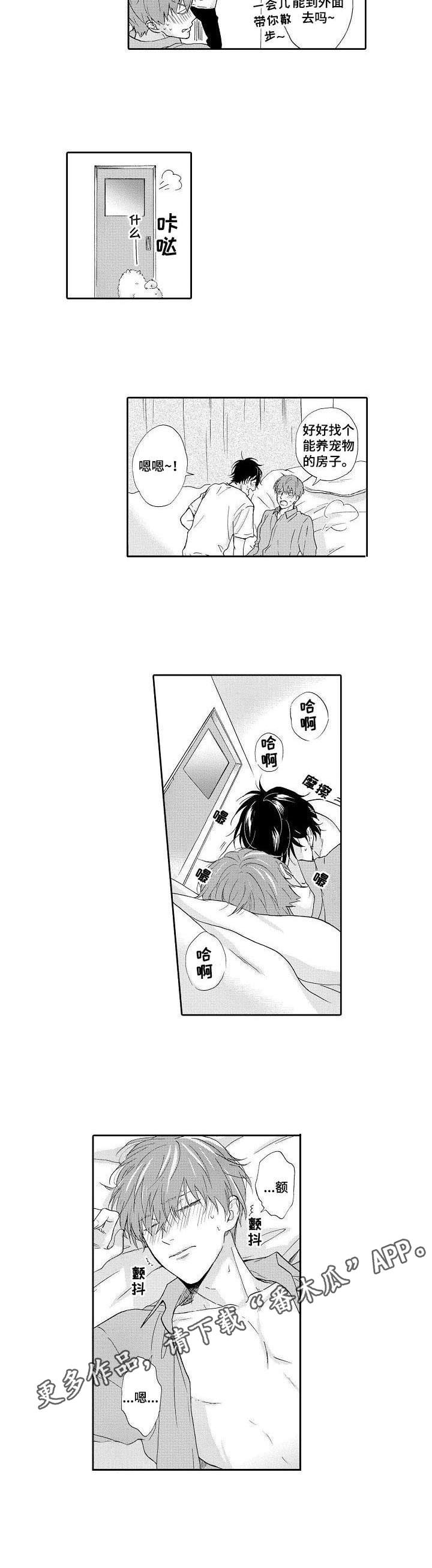 第17章：负责（完结）6