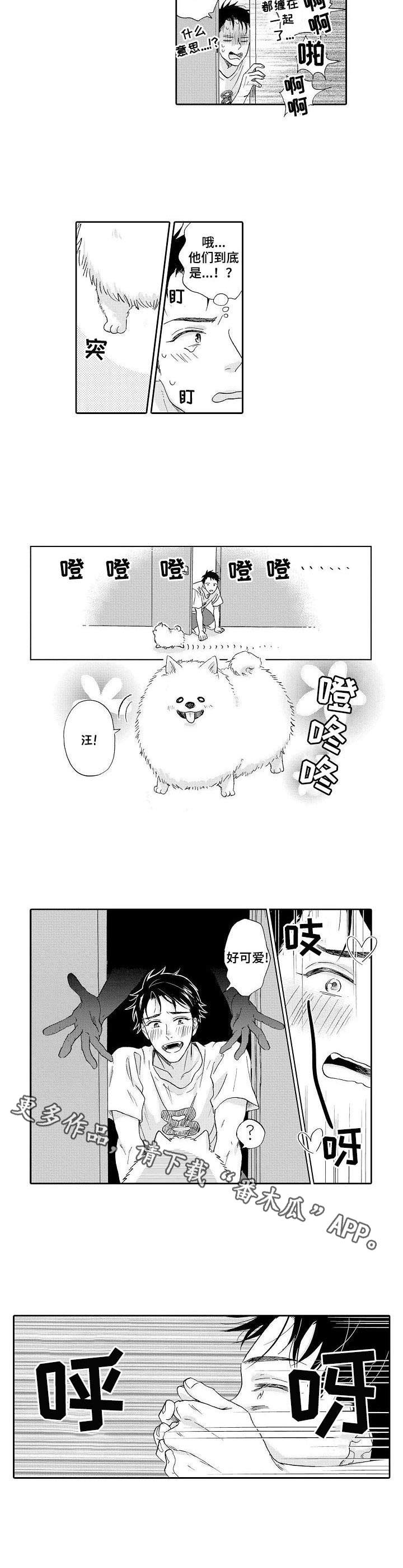 第3章： 不是梦6