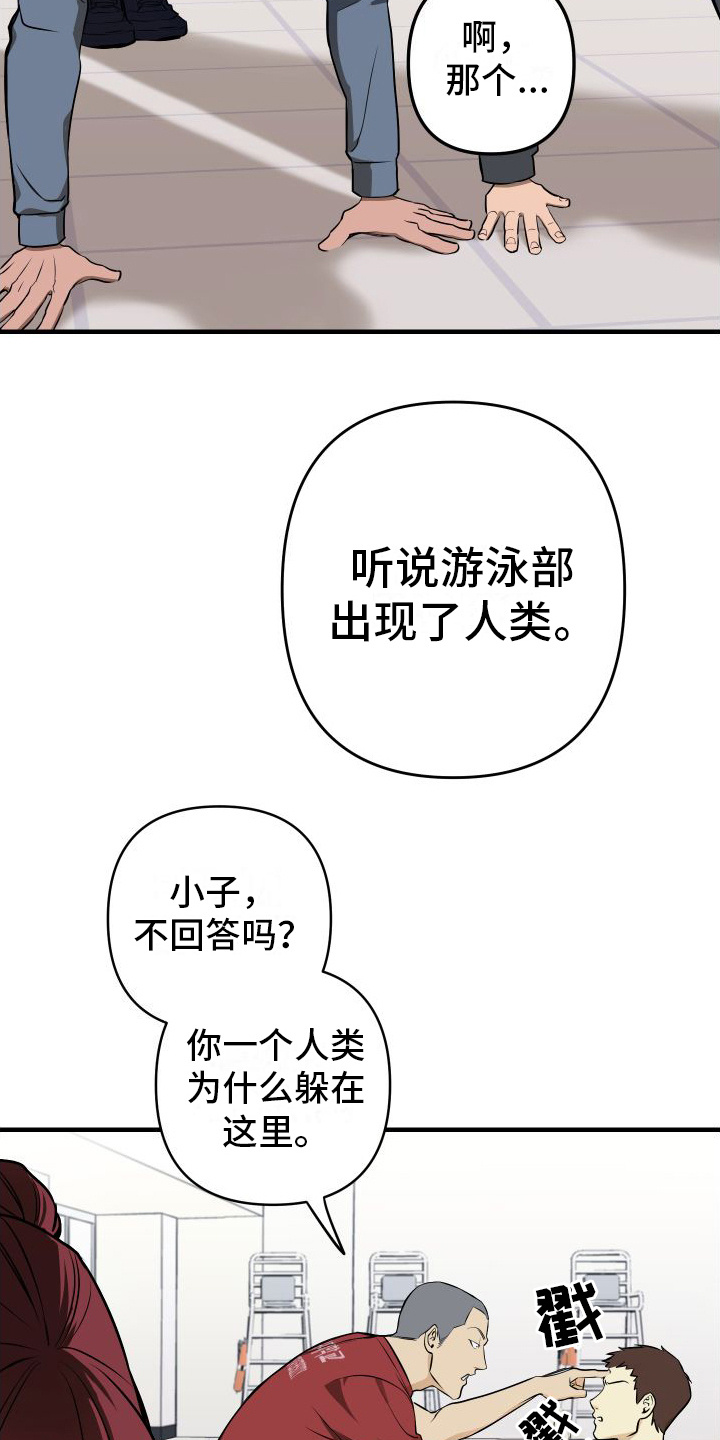 第2章：游泳部5