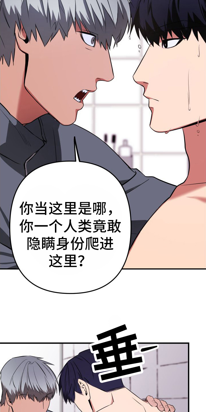 第3章：人类的味道5